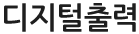 디지털출력